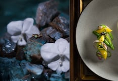 Lujo sagrado, un viaje hacia el reconocimiento del ópalo andino como piedra nacional