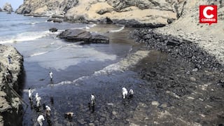 Alcalde de Lobitos tras un mes del derrame de petróleo: “Se debe resarcir el daño al ecosistema marino”