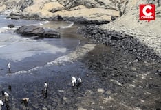 Alcalde de Lobitos tras un mes del derrame de petróleo: “Se debe resarcir el daño al ecosistema marino”