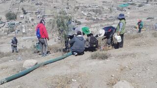 Arequipa: Vecinos de El Cebollar cuidan el medio ambiente plantando árboles 