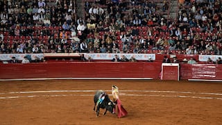 Congreso reconoce a la tauromaquia y la gallística como patrimonio cultural de Perú