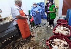 Chincha: intervienen panaderías y camal en operativo inopinado en Grocio Prado