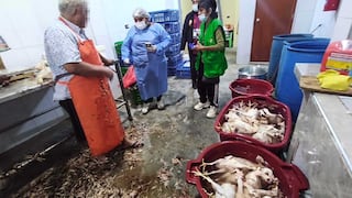 Chincha: intervienen panaderías y camal en operativo inopinado en Grocio Prado