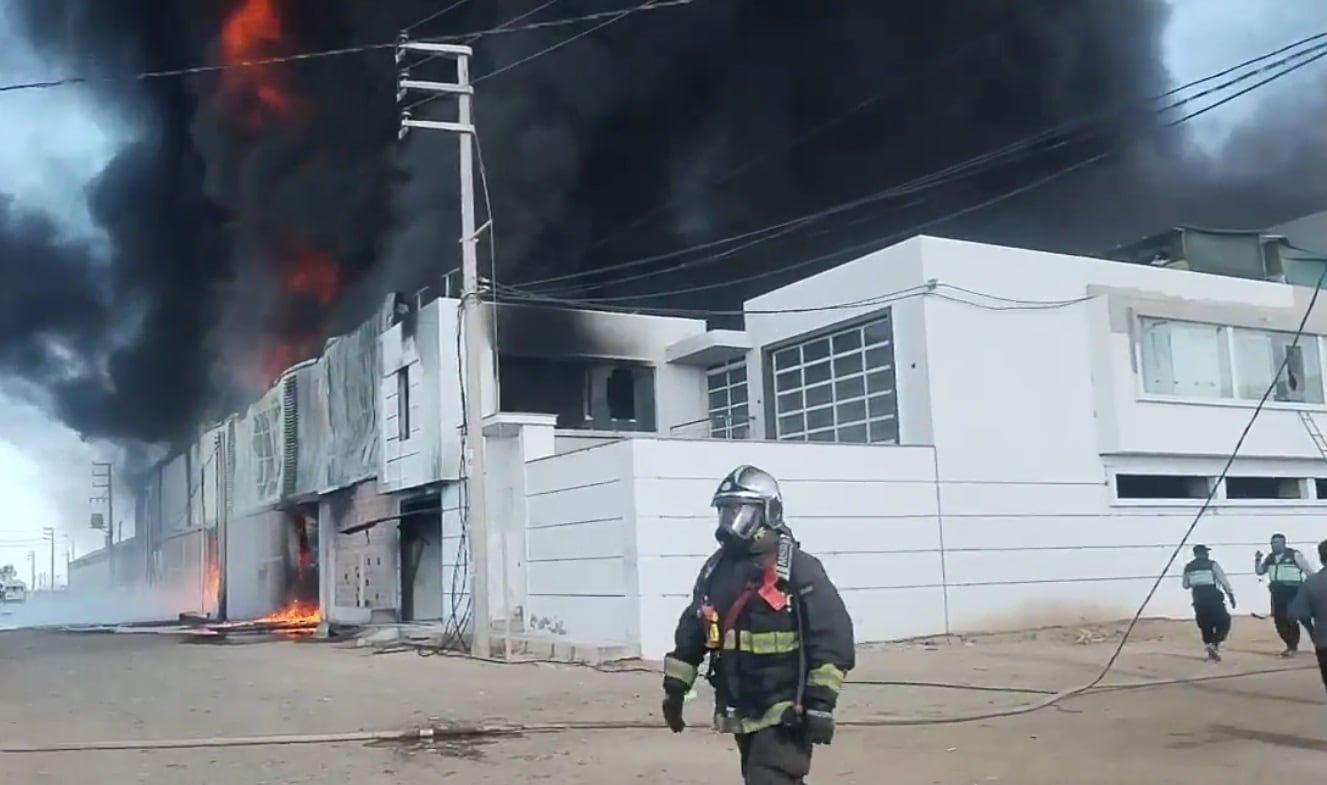 Fuego arrasa con empresa de procesamiento del olivo en el distrito rural