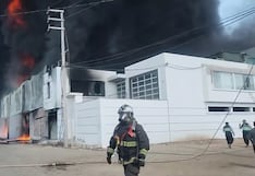 Tacna: Fuego arrasa con fábrica de aceite de olivo en La Yarada