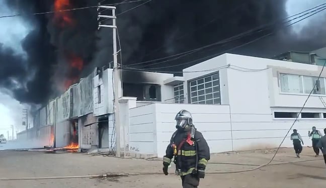 Fuego arrasa con empresa de procesamiento del olivo en el distrito rural