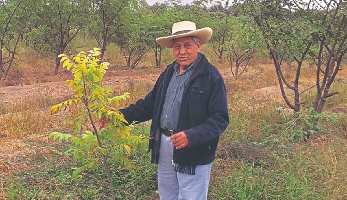 Javier Díaz Orihuela, exsenador de la República. Foto: GEC.