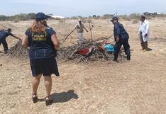 Sullana: Incineran carne de burro y caballo que fue encontrada en camal clandestino