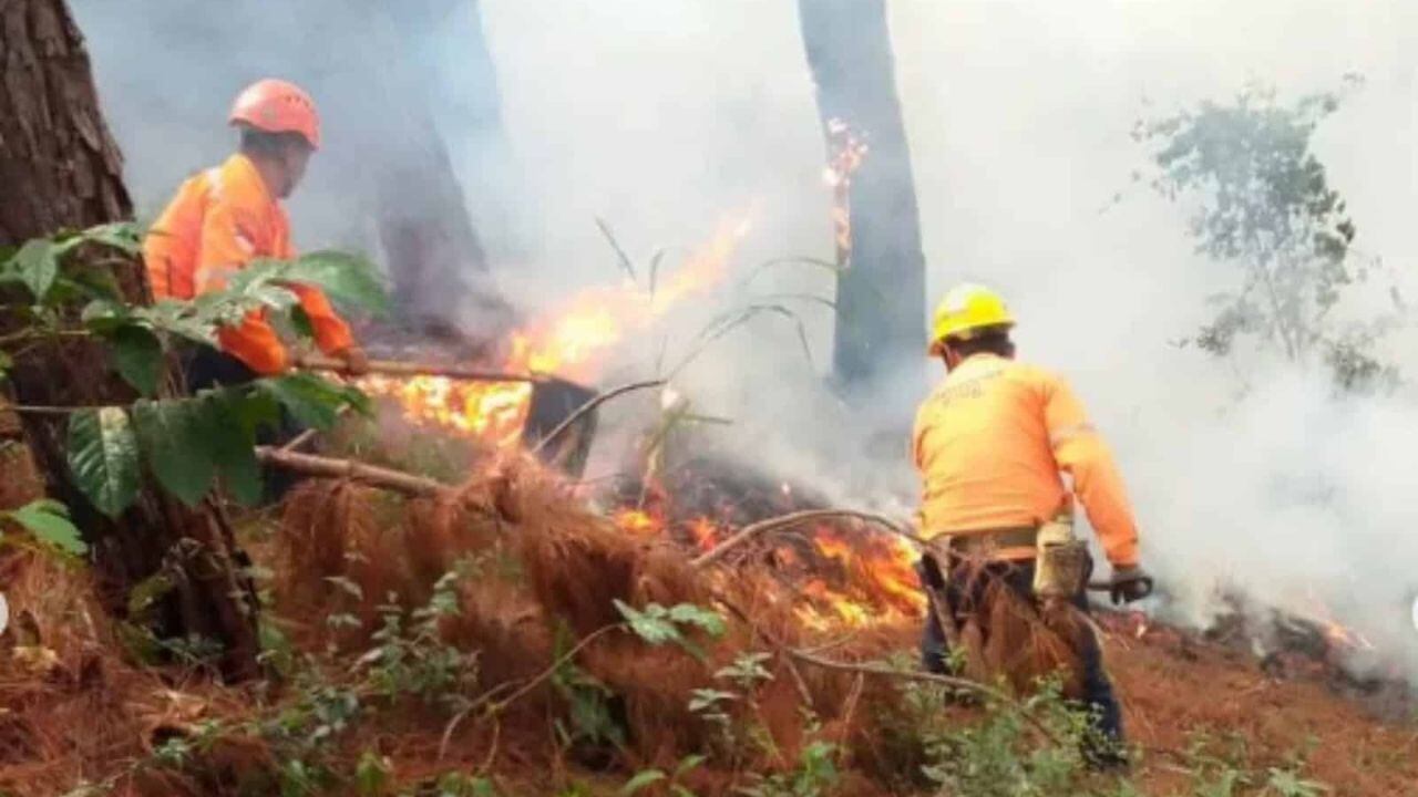 Para el representante de la Asociación Civil Comunidad Consciente, Omar Ñique, el Gobierno no tomó acciones oportunas frente a desastres registrados en diferentes regiones del territorio nacional.