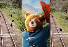 Machu Picchu: Familia de ositos camina tranquilamente por las vías del tren (VIDEO)