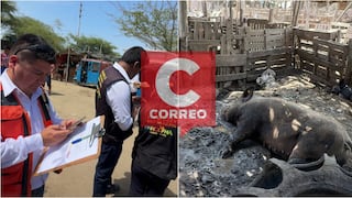 Ica: intervienen chancherías en zona urbana de Parcona por riesgo a la salud pública