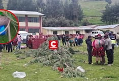 Cusco: niña de 3 años muere aplastada por árbol de yunza durante despedida de carnavales