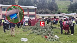 Cusco: niña de 3 años muere aplastada por árbol de yunza durante despedida de carnavales