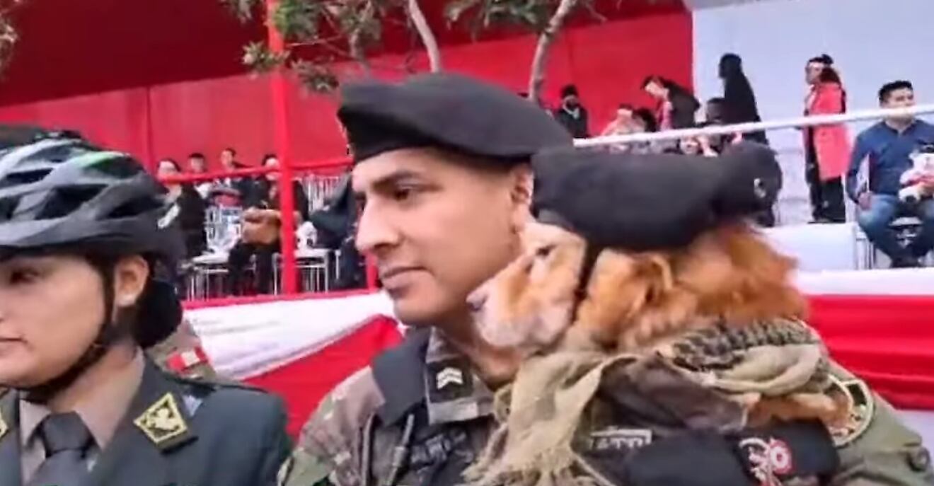 'Chato', perro policía de la Dinoes. (Foto: captura | Exitosa)