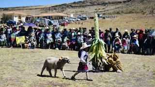 La Libertad: Realizan el V Festival Turístico Regional de la Puya Raimondi