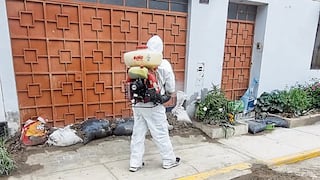 Emergencia en Arequipa: Familias afectadas por lluvias están en riesgo de enfermedades