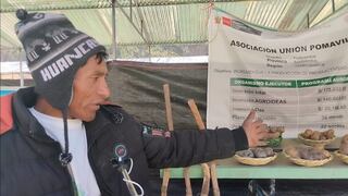 Productores de lácteos, papas nativas y otros muestran potencial industrial en Huancavelica (VIDEO)