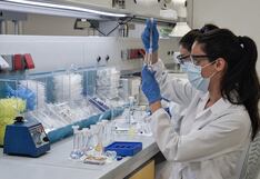 Malaria en Perú: Confirman primer caso importado en Chimbote