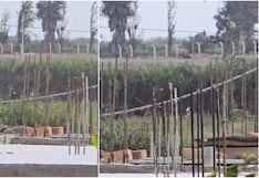 Hallan a hombre sin vida en zona rural de Pisco y presentaba heridas de bala