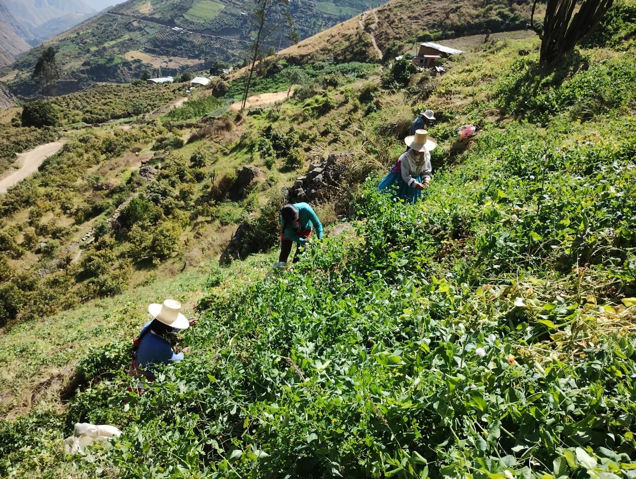 Las actividades del Sedir se desarrollan en el marco del proyecto de cooperación con la Fundación Servicio de Liechtenstein para el Desarrollo.