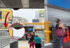 Miraflores: estación Ricardo Palma del Metropolitano fue cerrada tras hallazgo de un panal de abejas