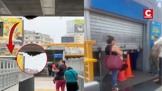 Miraflores: estación Ricardo Palma del Metropolitano fue cerrada tras hallazgo de un panal de abejas