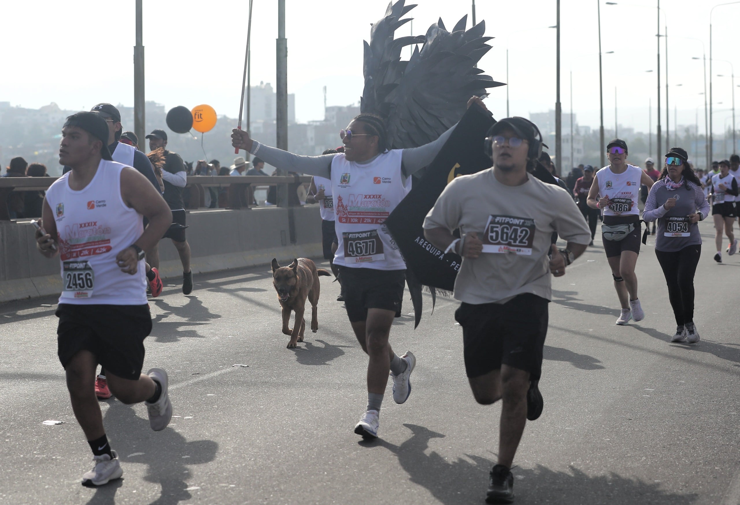 Así se vivió la Maratón Internacional Virgen de la Candelaria 2026. (Foto: Omar Cruz/@photo.gec).
