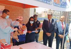 Arequipa: Buscan proteger a 300 mil canes con la vacunación contra la rabia (VIDEO)