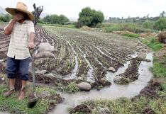 Este año se crearían solo 160 mil empleos formales