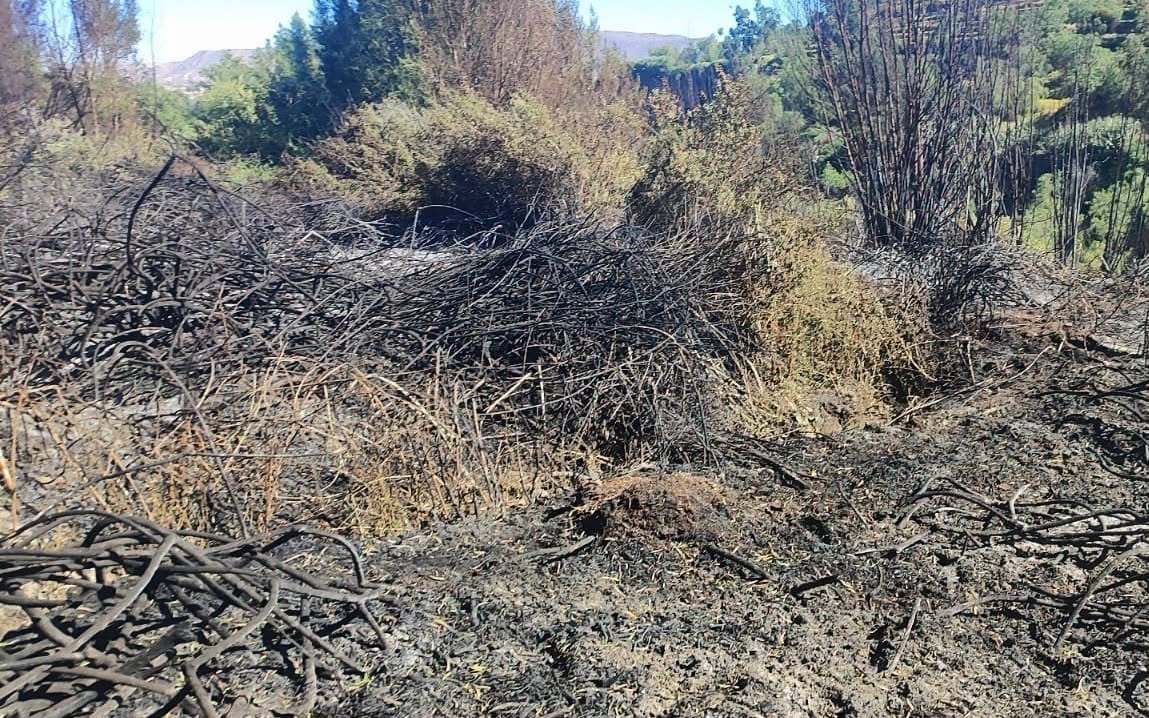 Incendio destruye 1,5 hectáreas de pastos naturales en Yarabamba (Foto: Municipaldiad de Yarabamba)