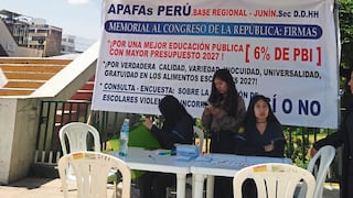 Huancayo: Buscan firmas para expulsar a escolares agresores