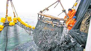 Pesca para consumo humano moverá 300 millones de nuevos soles