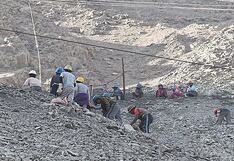 Proyecto Tía María en Arequipa: En Islay existen 123 REINFOs y solo 33 están vigentes