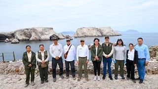 Paracas se prepara ante El Niño: refuerzan monitoreo de fauna y protección del mar en la Reserva Nacional
