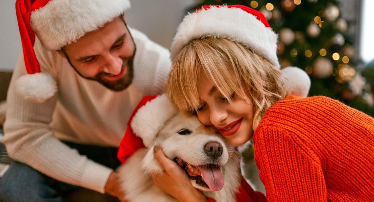 Los cohetes y la comida festiva pueden causar estrés y emergencias en mascotas. Con anticipación y pequeños ajustes, es posible reducir riesgos en Navidad y Año Nuevo.