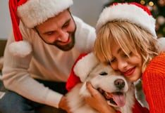 Navidad 2025: Cinco consejos para proteger a tu mascota de cohetes y alimentos en fiestas