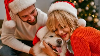 Navidad 2025: Cinco consejos para proteger a tu mascota de cohetes y alimentos en fiestas