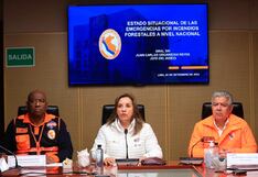 Gobierno asegura que no entregará títulos de propiedad en zonas devastadas por incendios forestales