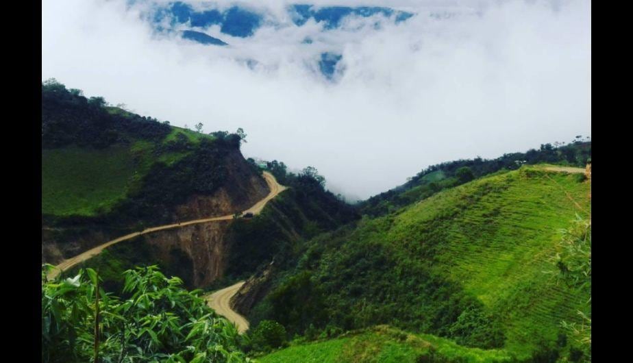 El Bosque de Neblina de Carpish. (Foto: Instagram/falconinunez)