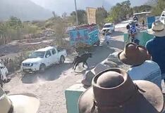 Muere mujer de 92 años corneada por un toro en Arequipa en el festejo de la Virgen del Rosario