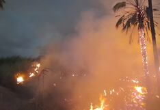 Nasca: incendio forestal amenazó con devorar los acueductos de Achaco