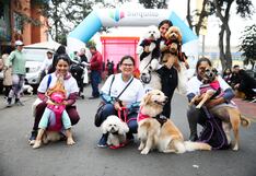 Pet Run 5k, la carrera que se puede correr con tu mascota se realizará en Surquillo