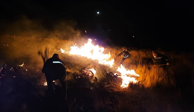 Puno: Incendio forestal deja una adulta mayor fallecida y más de 1 500 hectáreas de pastos afectadas