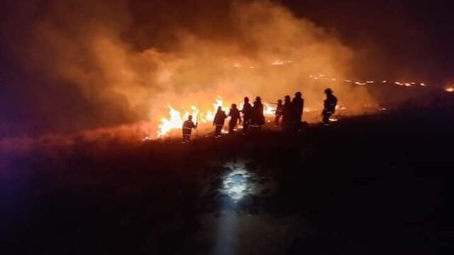 Juliaca: Incendio forestal duró 12 horas