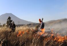 Incendio en Arequipa: Retoman acciones de control de incendio forestal en Characato