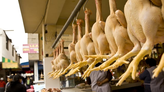 Producción avícola para consumo no se afectará por la gripe aviar, según gremio