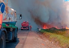 Incendio arrasa con cuatro mil metros cuadrados en Santuario Nacional Lagunas de Mejía (FOTOS)