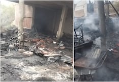 Chincha: nueve canes mueren calcinados por siniestro en casa de reciclador