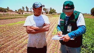 Inicia Censo Agrario en Arequipa