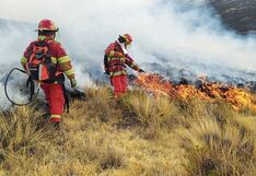Incendios forestales en Perú: Minsa reporta 15 fallecidos y 144 personas con problemas de salud